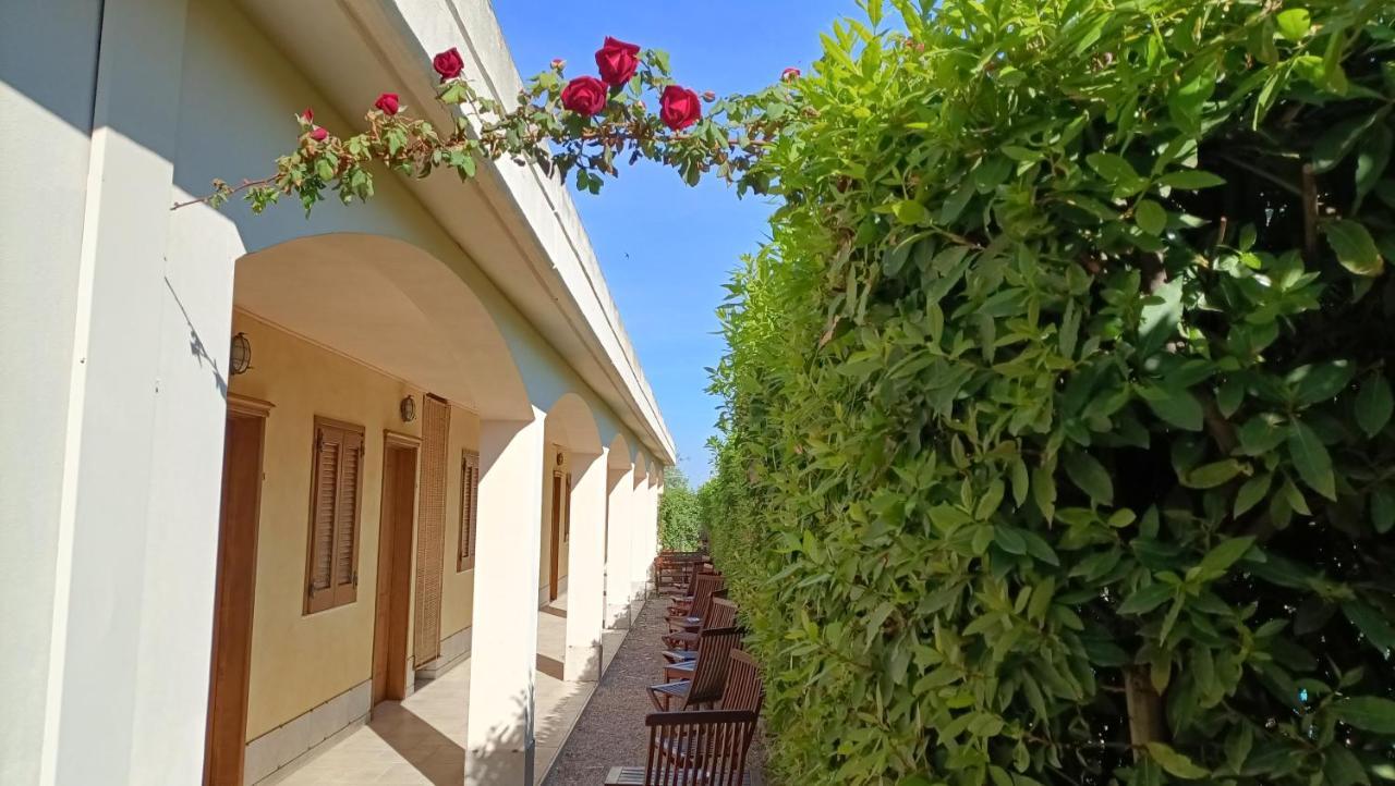 Agriturismo Le Vedute بيشيلي المظهر الخارجي الصورة