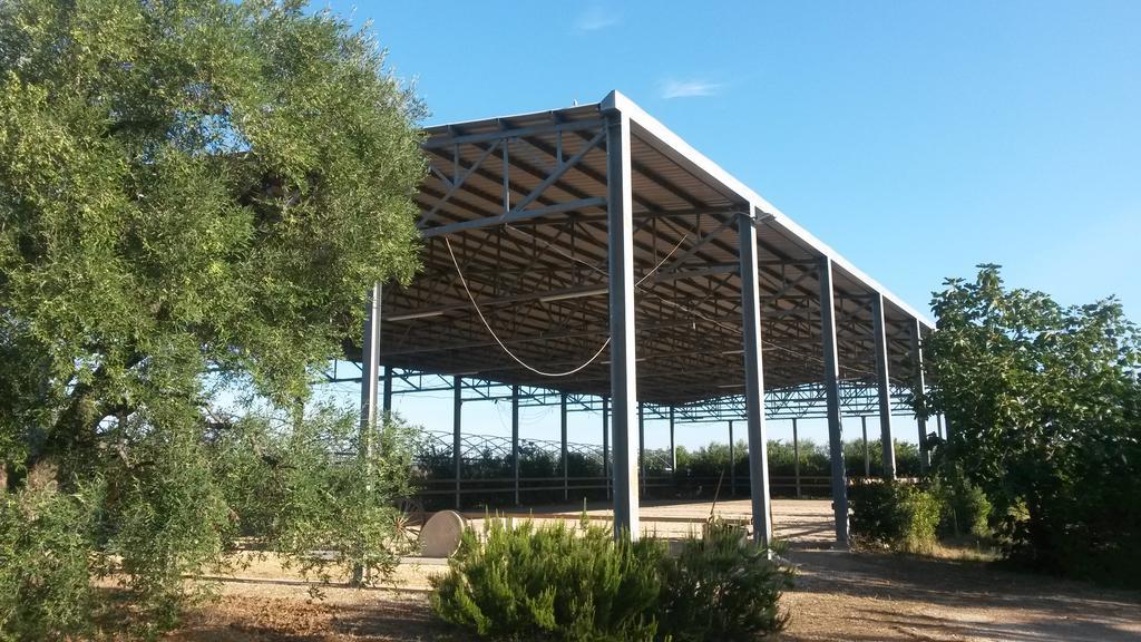 Agriturismo Le Vedute بيشيلي المظهر الخارجي الصورة