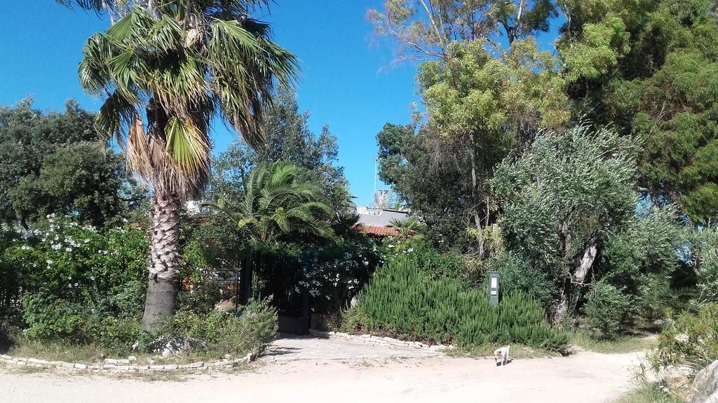 Agriturismo Le Vedute بيشيلي المظهر الخارجي الصورة